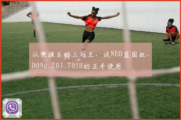 从樊振东的三冠王，谈NEO蓝国狂_D09c_Z03_T05H的正手使用