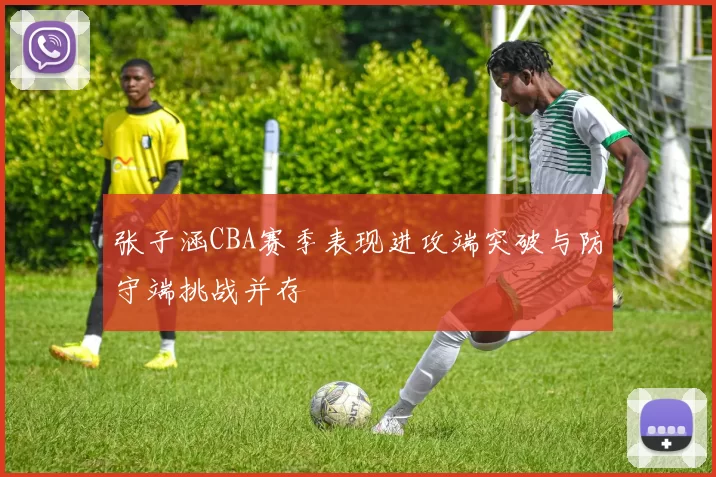 张子涵CBA赛季表现进攻端突破与防守端挑战并存