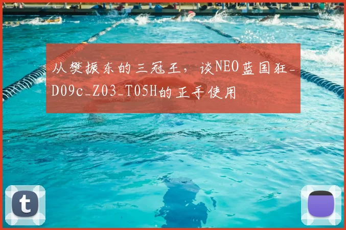 从樊振东的三冠王，谈NEO蓝国狂_D09c_Z03_T05H的正手使用