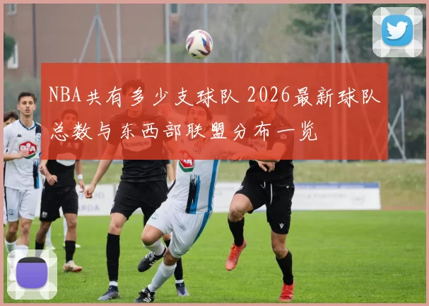 NBA共有多少支球队 2026最新球队总数与东西部联盟分布一览
