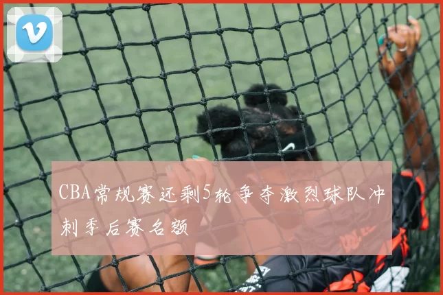 CBA常规赛还剩5轮争夺激烈球队冲刺季后赛名额